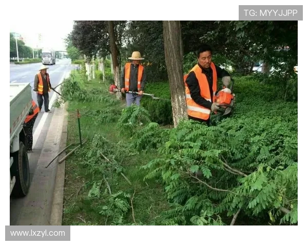 于根伟考察收官战主场草皮持续养护进展迎来关键阶段全面重要检验